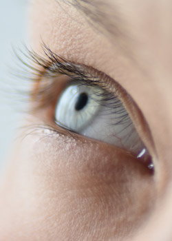 Close-up of a blue human eye with long eyelashes and detailed iris texture in soft natural lighting