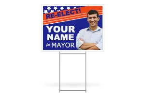 Image of Political Yard Signs