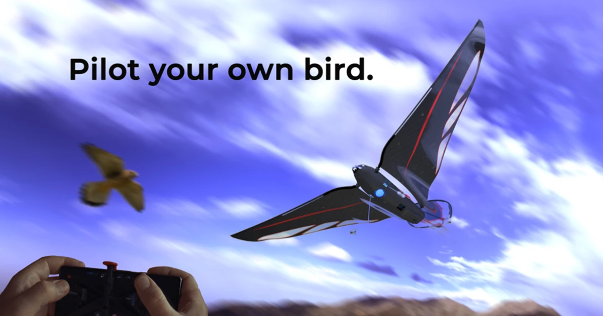 The Swift | Natural Flight Reinvented