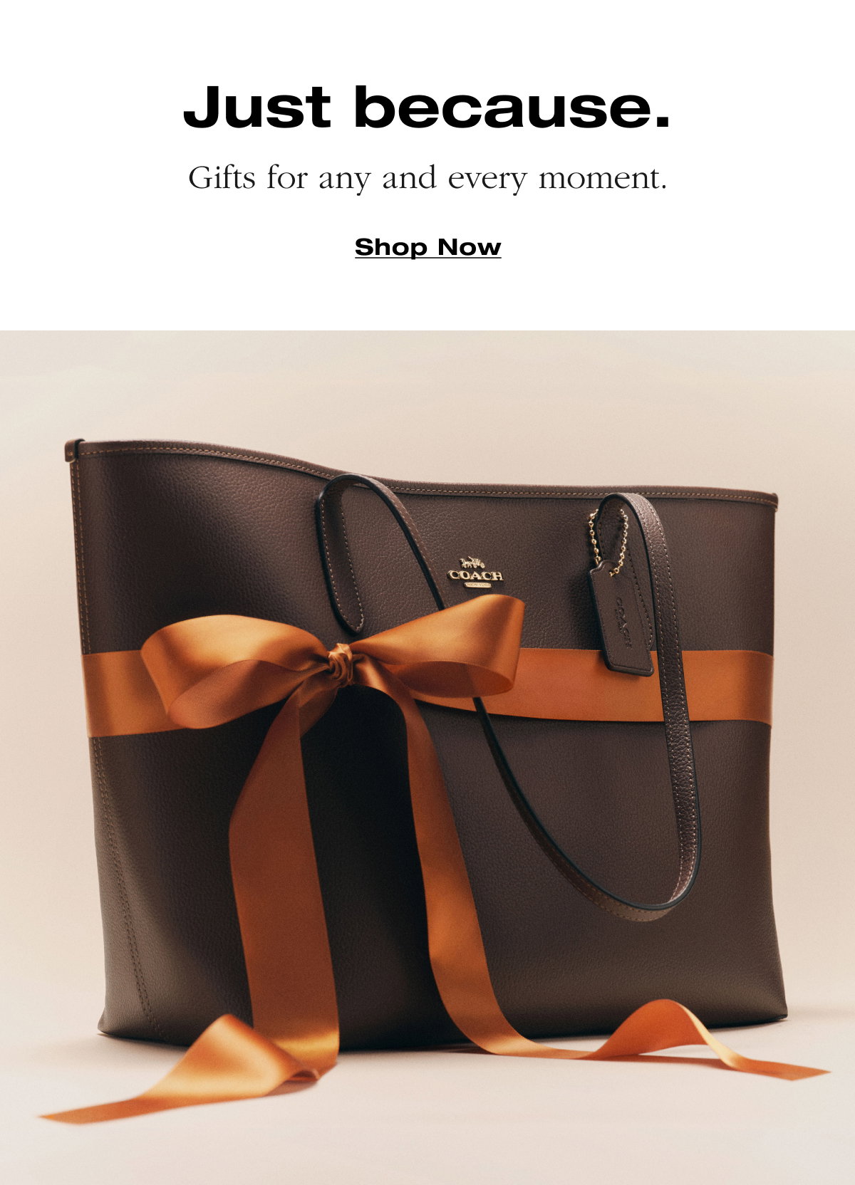 Just because. Gifts for any and every moment. Shop Now