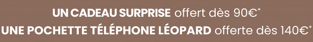 Un cadeau surprise 