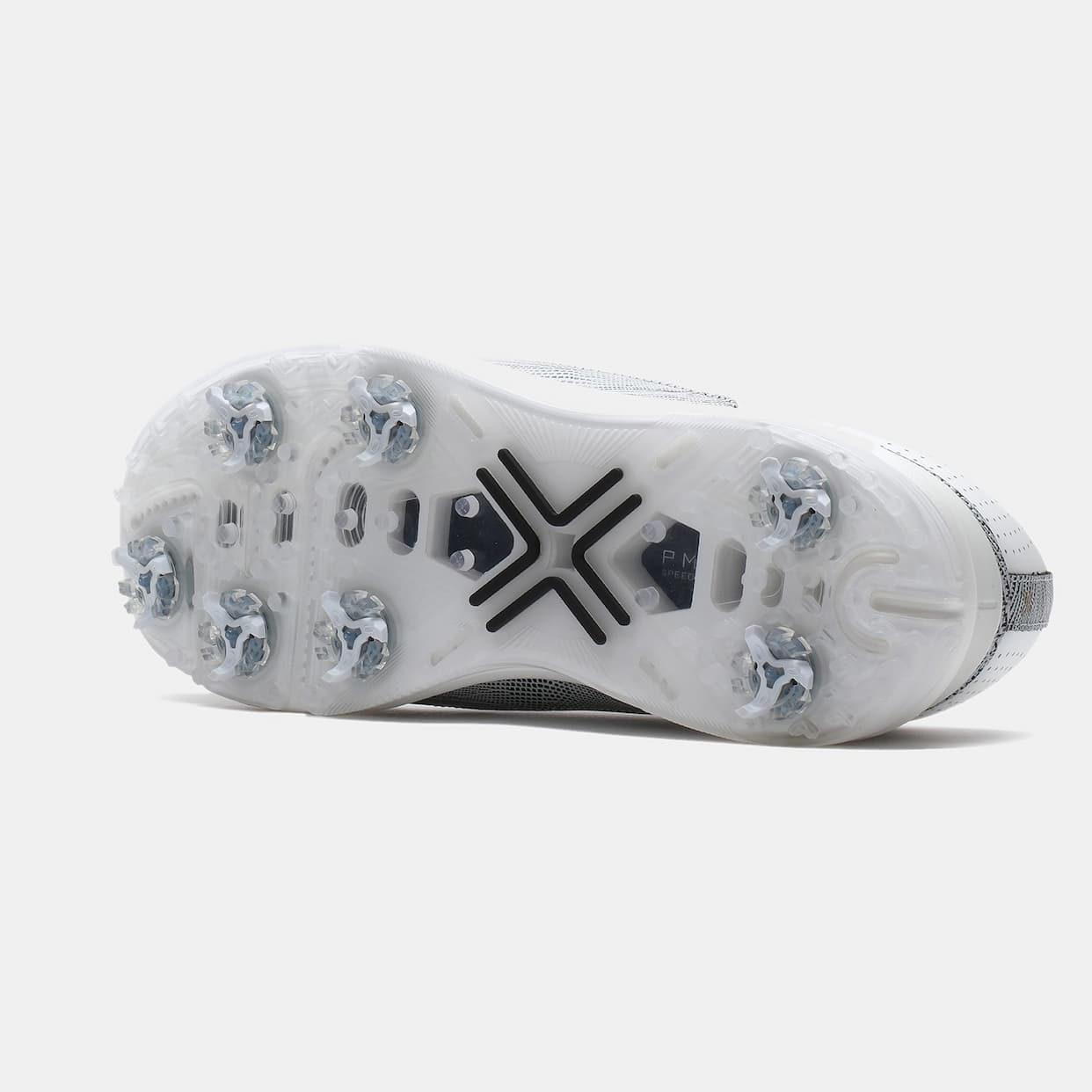 NEW IN: PAYNTR