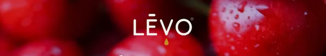Levo logo Header