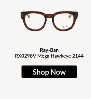 Ray-Ban RX0298V Mega Hawkeye 2144