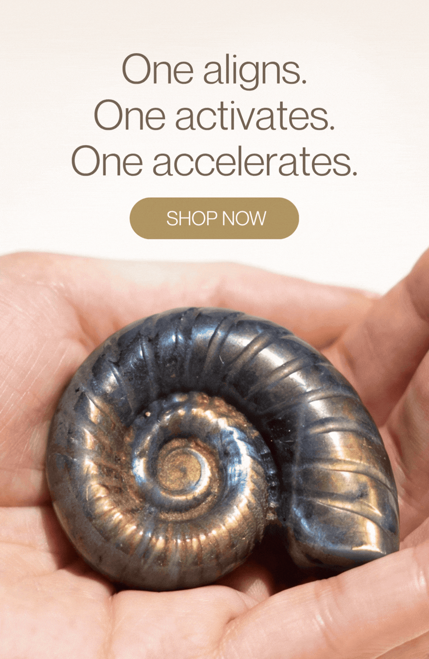 One aligns. One activates. One accelerates. 
