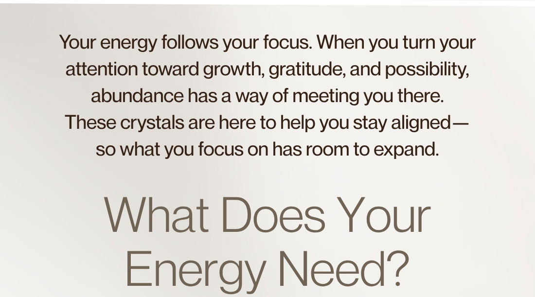 What Does Your Energy Need?