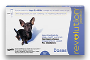 Revolution For dog