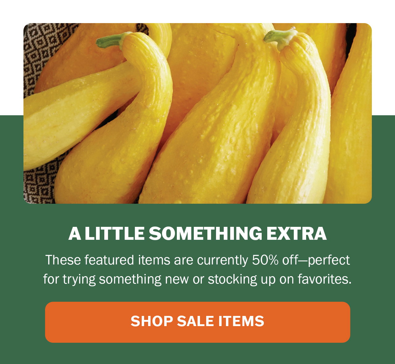Shop our seed sale