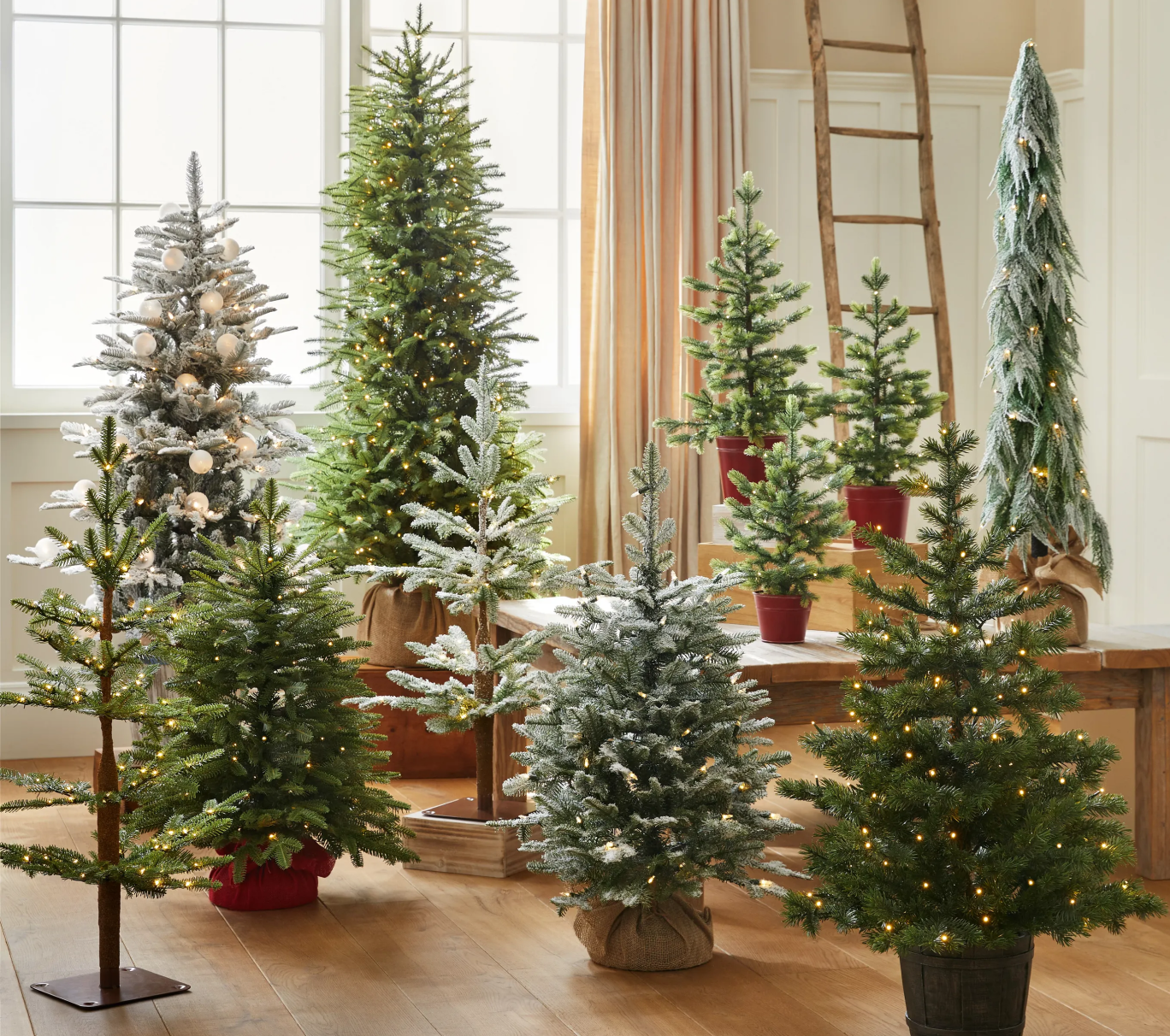 Variety of Tabletop Christmas Trees