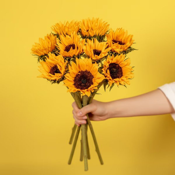 SUNSHINE DELIGHT
