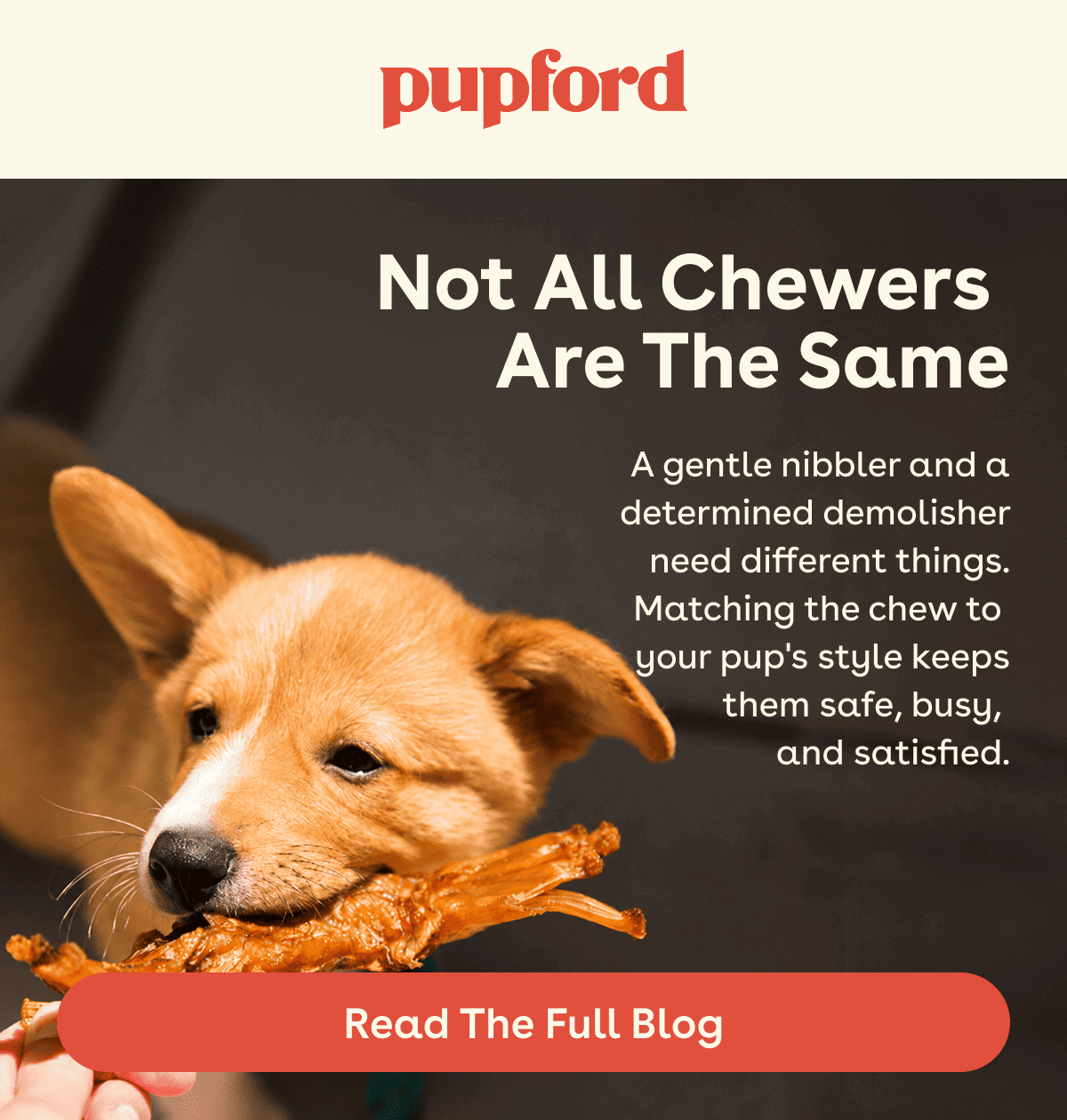 Read the full blog 