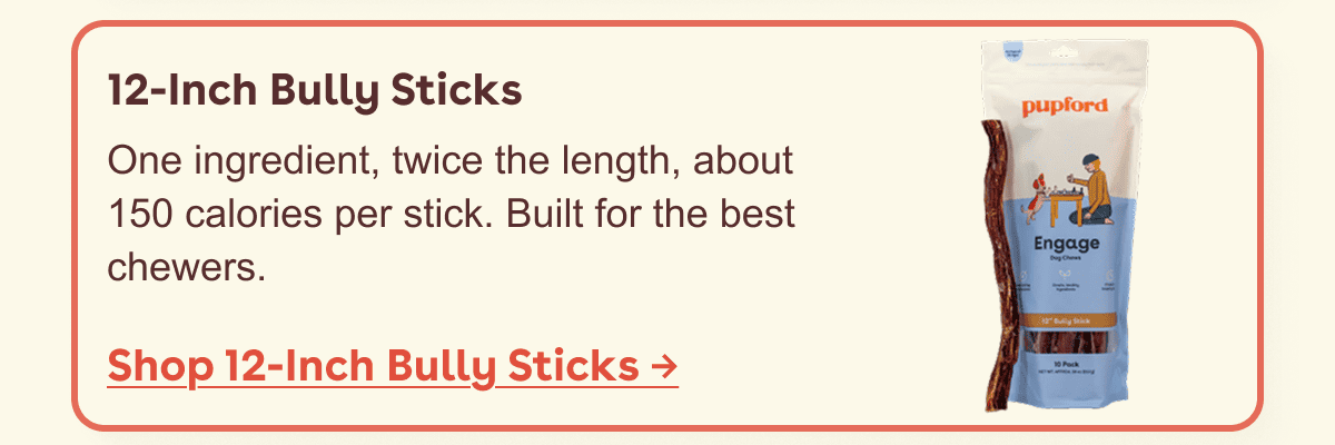 12 inch bully sticks
