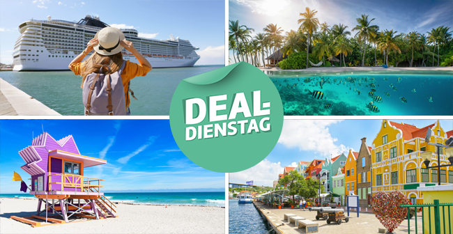 Bild-Collage: Frau schaut auf MSC Schiff, Strand mit Palmen und Fischen im Wasser, Miami Beach mit rosa Lifeguard-Turm, bunte Häuserfassaden in Willemstad.