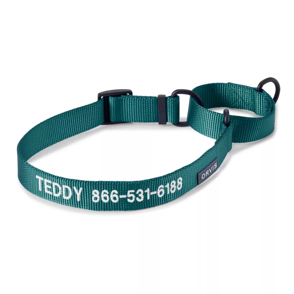 Orvis Personalized Martingale Dog Collar