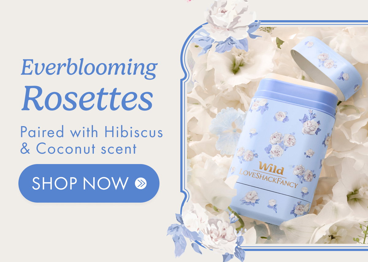 Everblooming Rosettes with Hibiscus & Coconut Scent
