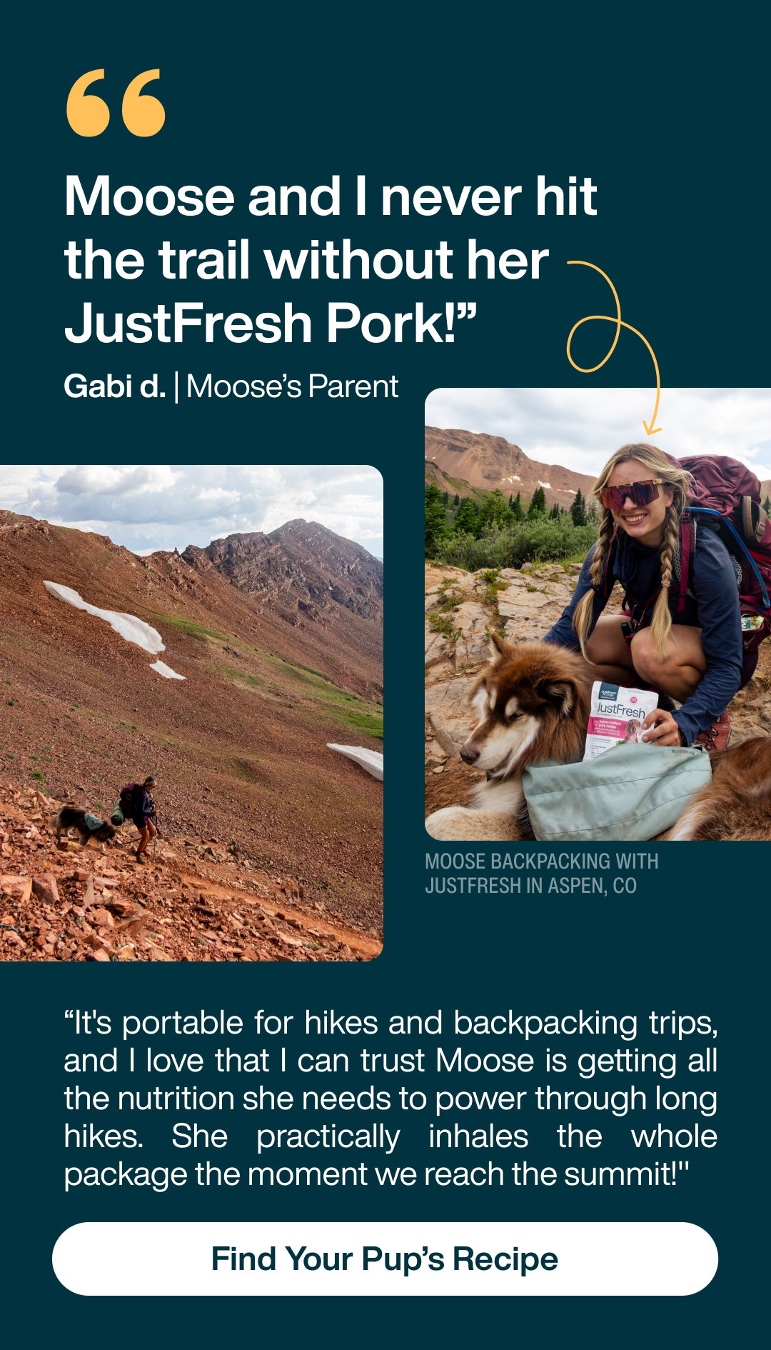 Find Your Pup's Recipe