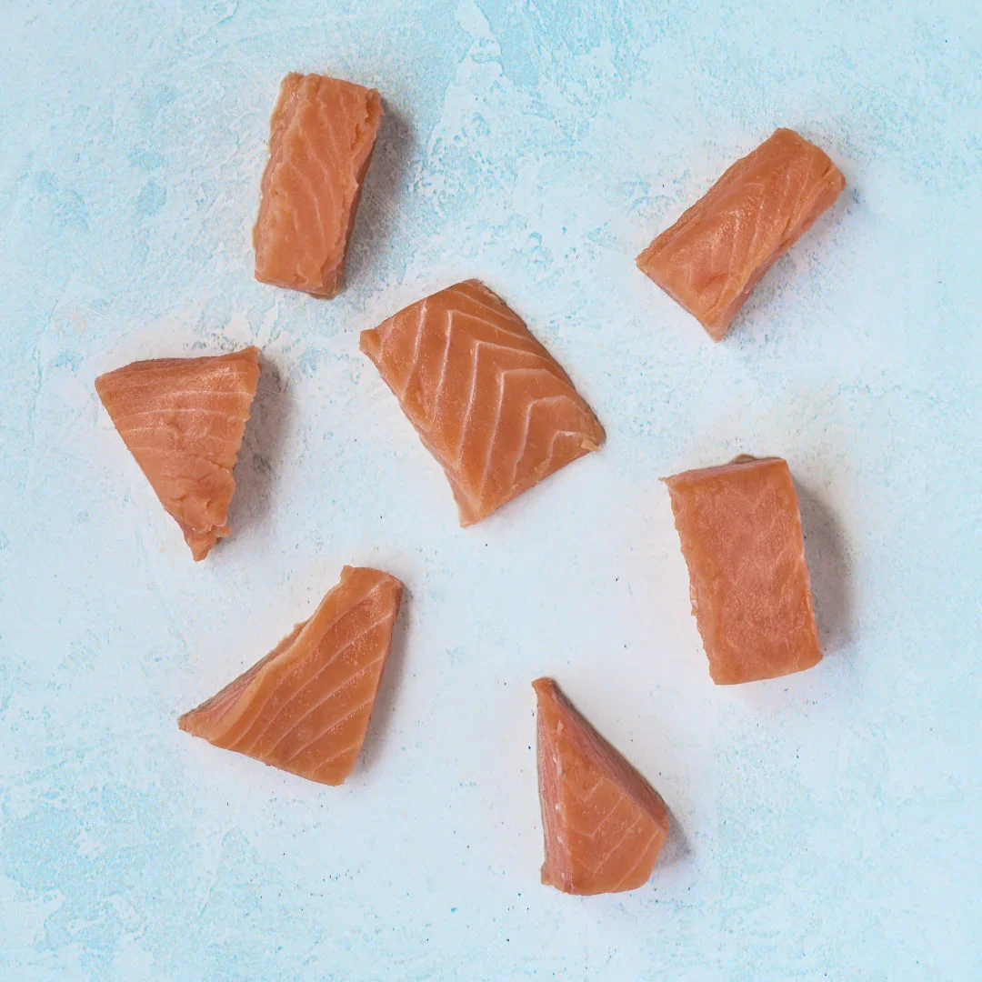 Image of Atlantic Salmon Misshapes