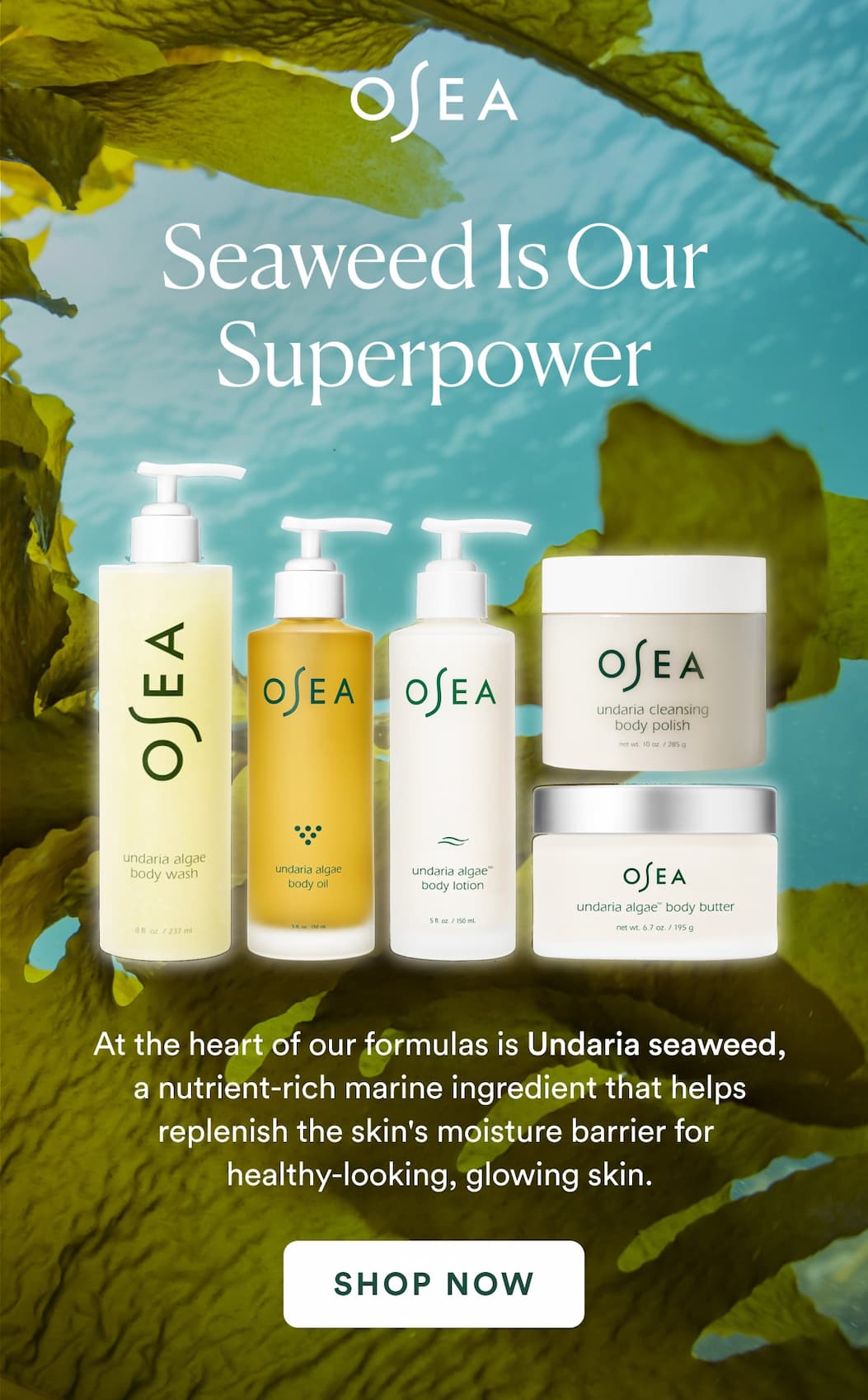 At the heart of our formulas is Undaria seaweed, a nutrient-rich marine ingredient that helps replenish the skin's moisture barrier for healthy-looking, glowing skin.