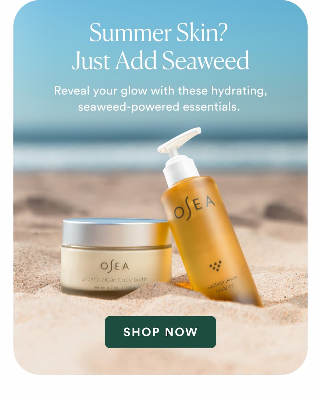 Reveal your glow with these hydrating, seaweed-powered essentials. 