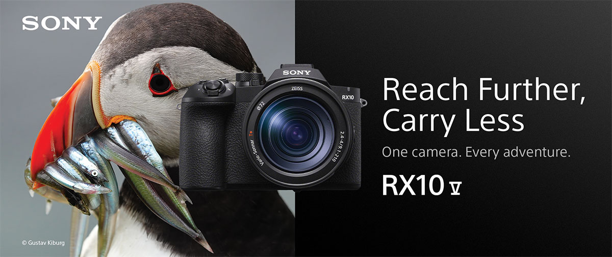 Sony RX10 V Banner