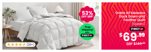 Ovela All Seasons Duck Down and Feather Quilt (Queen)