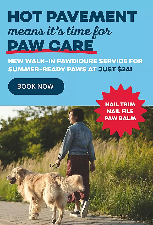 072126_SummerPawCare_Hero
