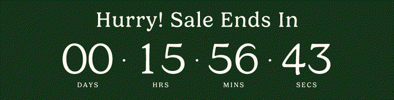 Hurry! Sale Ends Countdown Timer