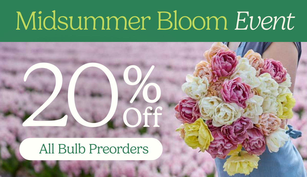 Midsummer Bloom Event – 20% Off All Bulb Preorders