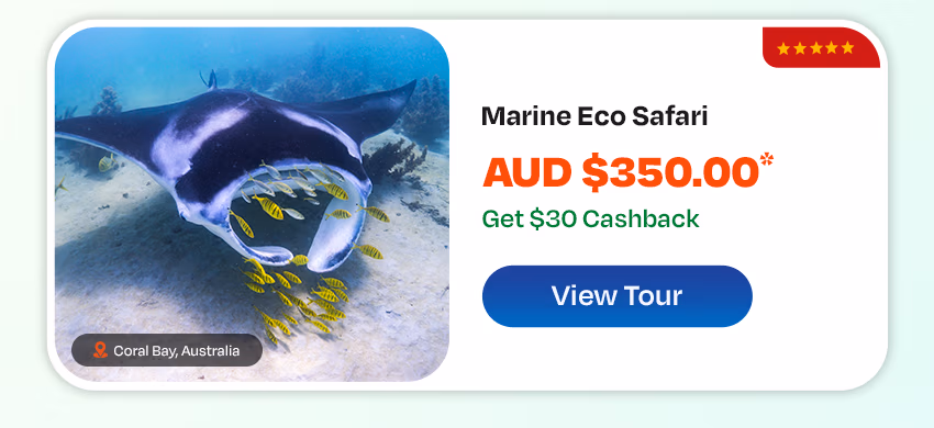 https://www.backpackerdeals.com/australia/coral-bay/marine-eco-safari-with-manta-rays