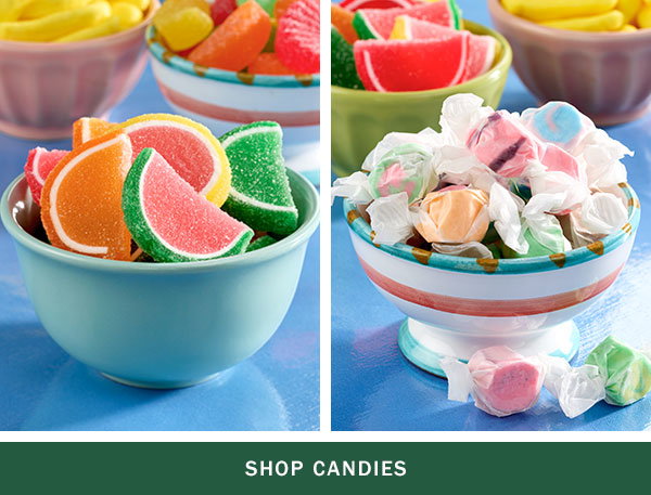 Shop Candies. Classic Candy Fruit Slices, Saltwater Taffy, Two 14 Ounce Bags