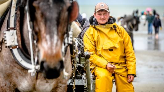 Yoshi (31) maakte van garnaalvisserij te paard zijn broodwinning: “Mijn ‘compagnon de route’ verliezen, was een harde klap”