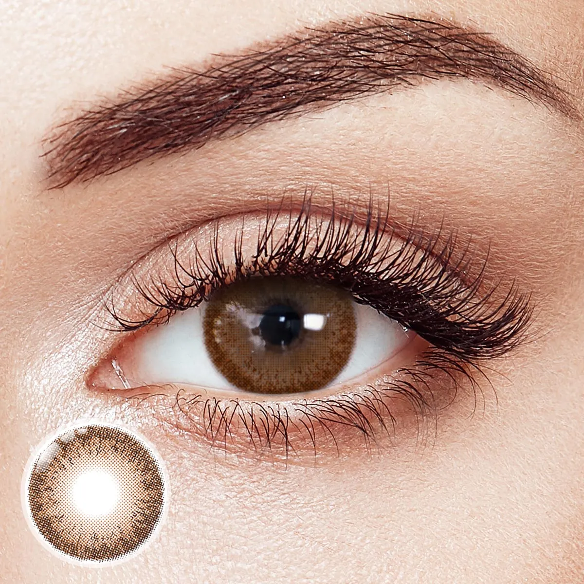 Sofi Sepia Daily Contact Lenses | 10 Pcs
