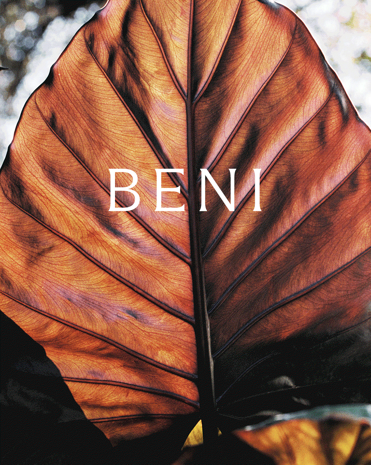 The Foliage collection 