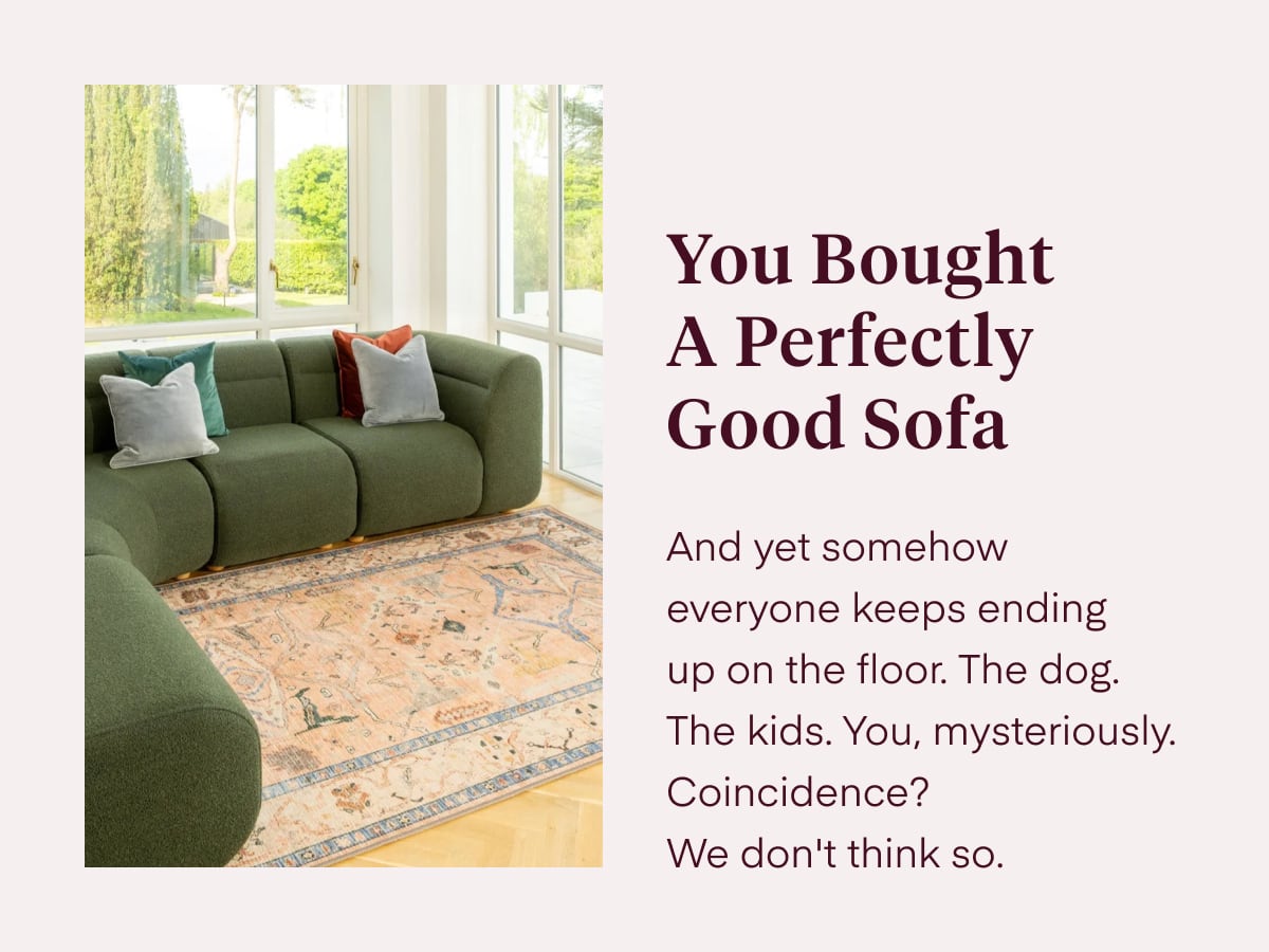 You Bought A Perfectly Good Sofa