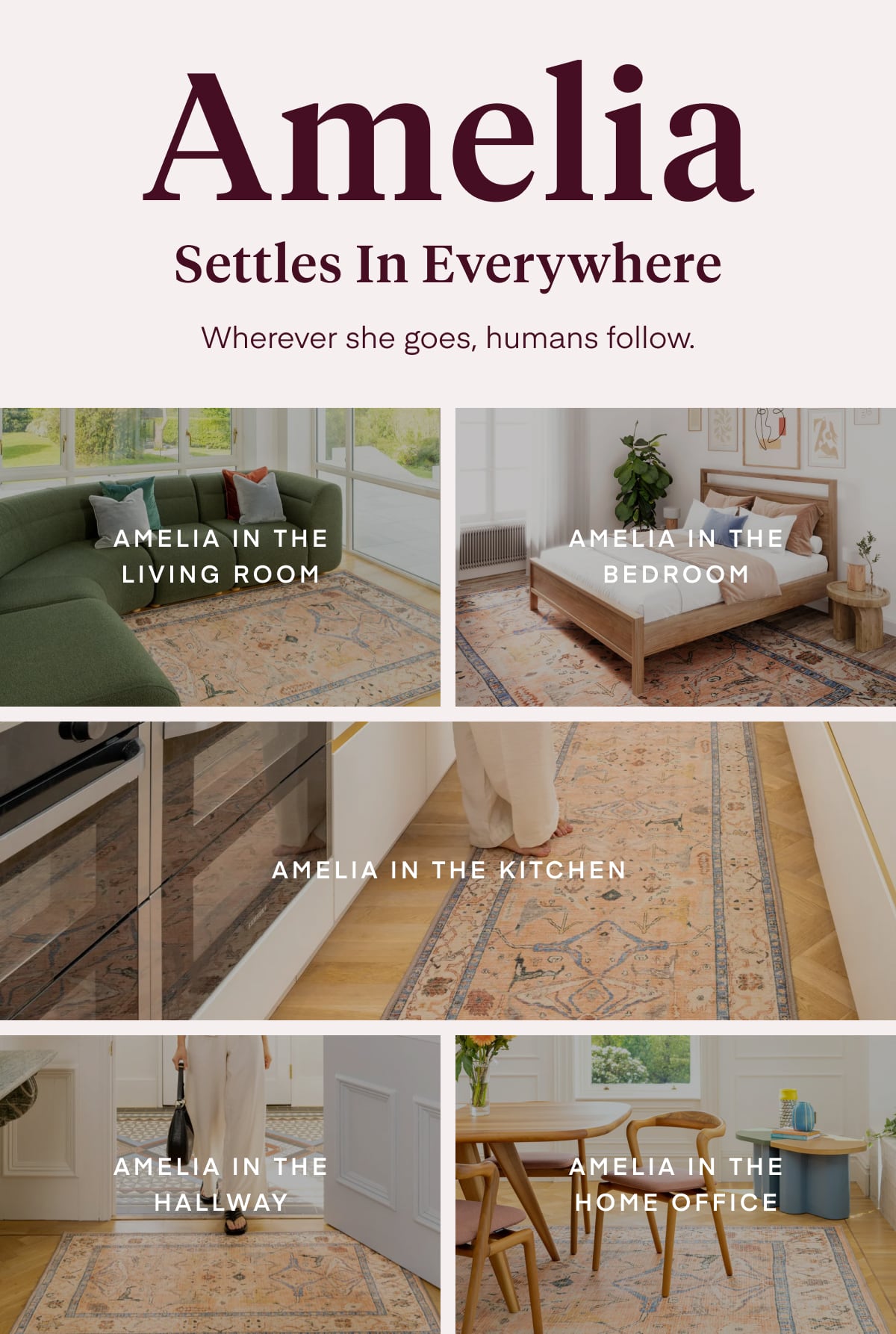 Amelia Settles In Everywhere