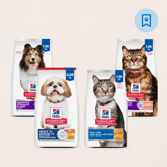 Hill’s Science Diet Dry Dog & Cat Food