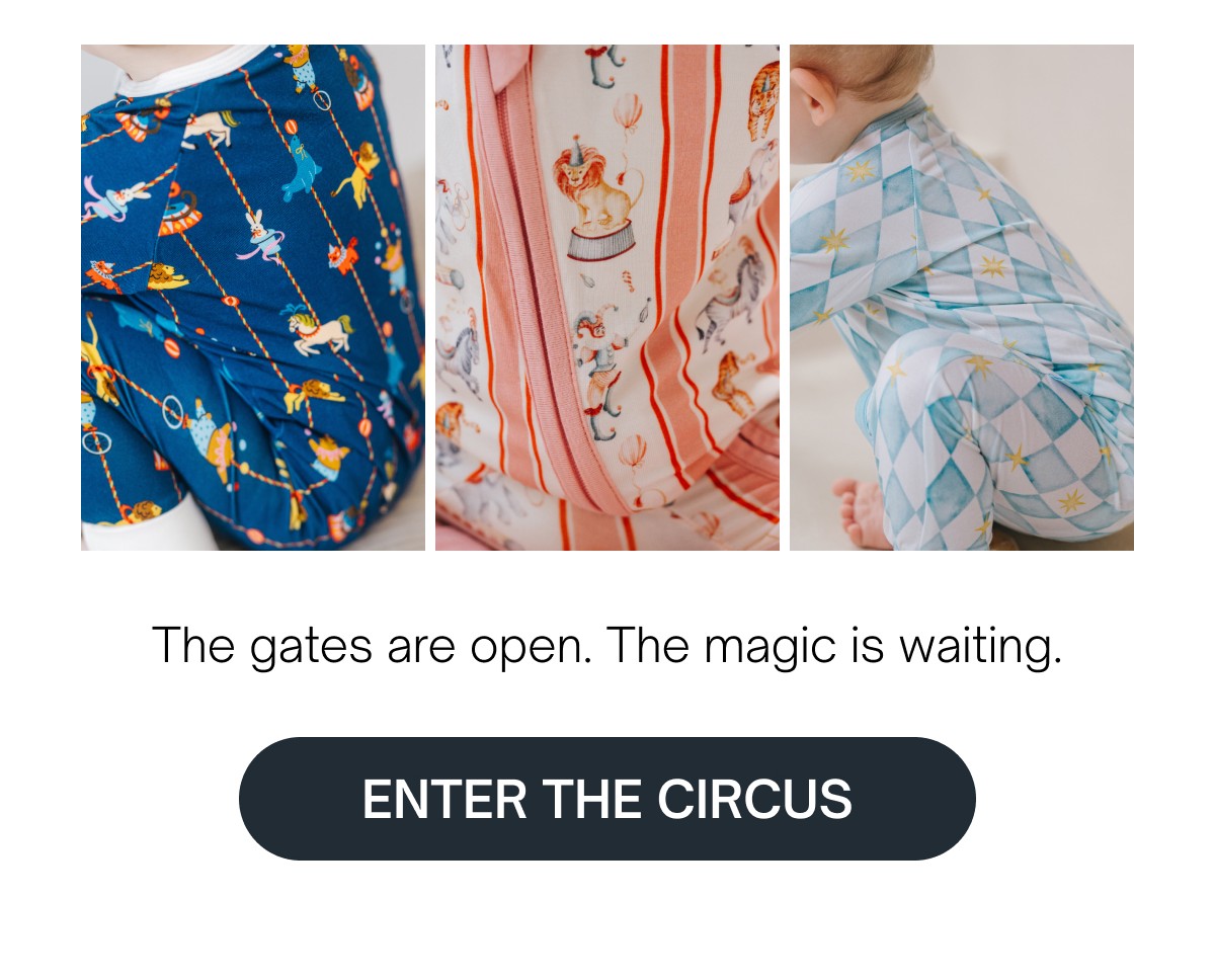 ENTER THE CIRCUS