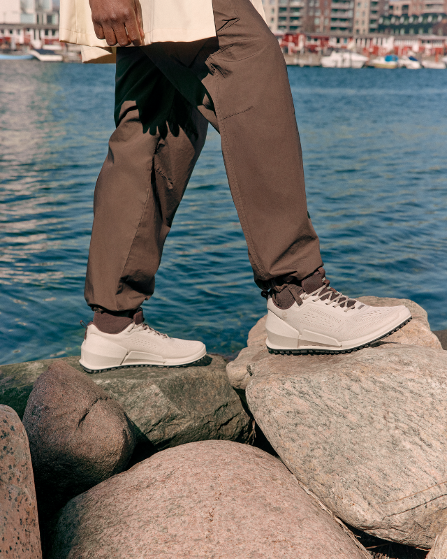 ECCO Biom 2.0