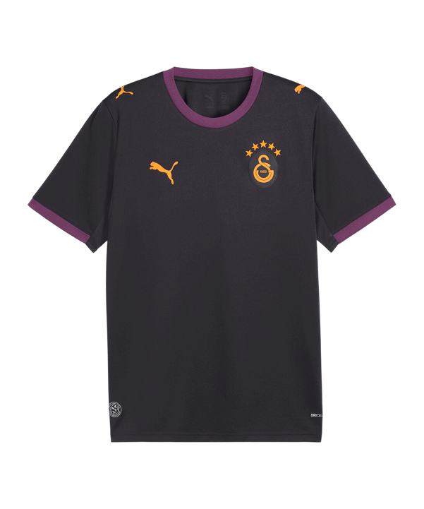 PUMA Galatasaray Istanbul Replica Trikot Away 2026/2027 Grau F05