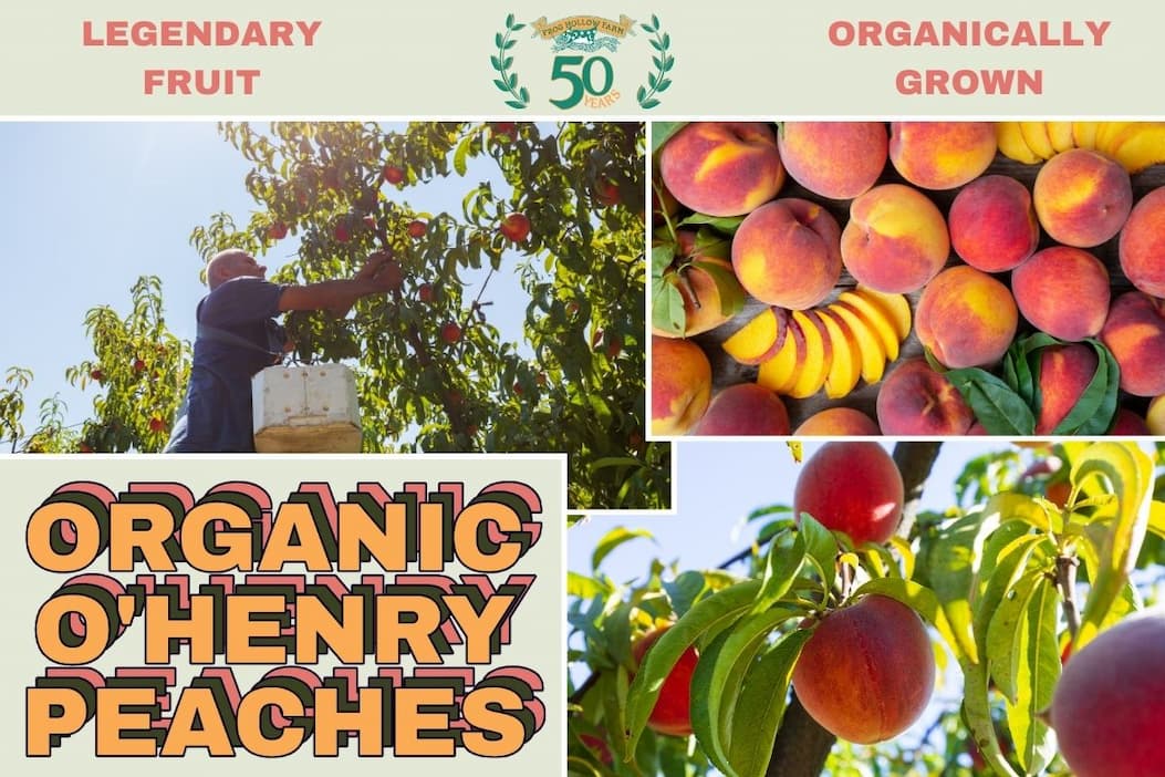 Organic peaches