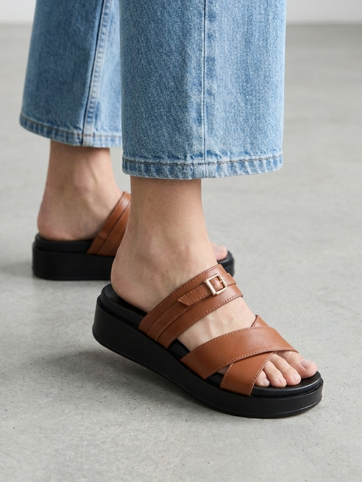 WALTRAUD Camel — mule
