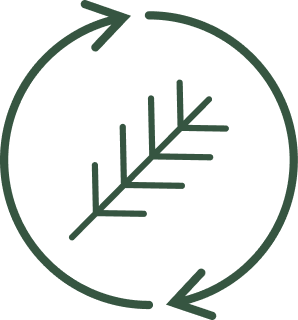 Icon showing a pine branch surrounded by circular arrows.