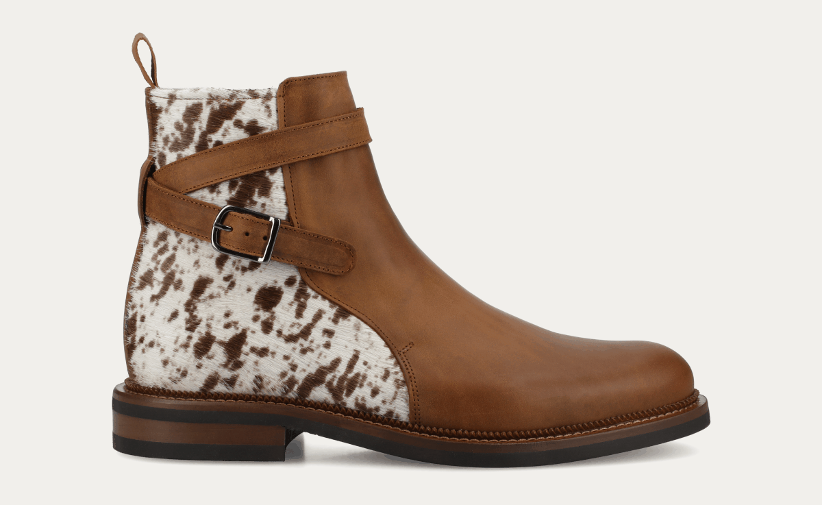 Longhorn Collection