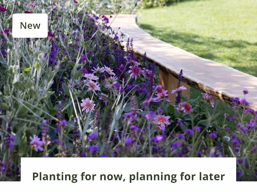 Planting for now, planning for later 
