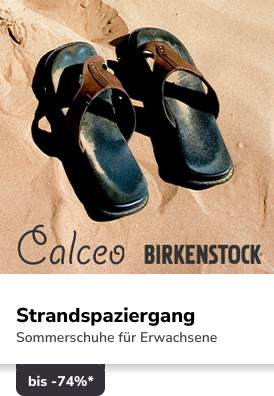 Campaign 3