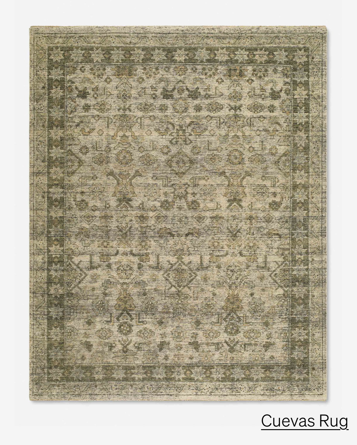 Shop Cuevas Rug