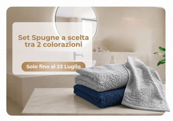 Set spugne a scelta tra 2 colorazioni a soli 2,99€