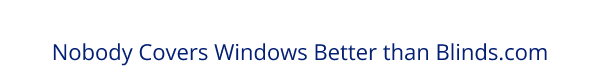 Nobody Covers Windows Better than Blinds.com