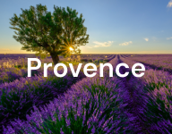 Provence