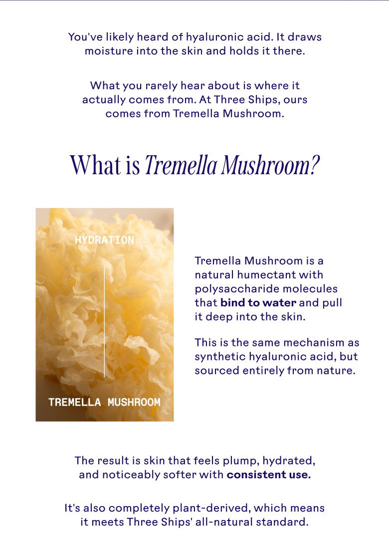What is Tremella Mushroom?